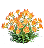 芳華居·欄杆