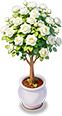 煙雨江南·架間花