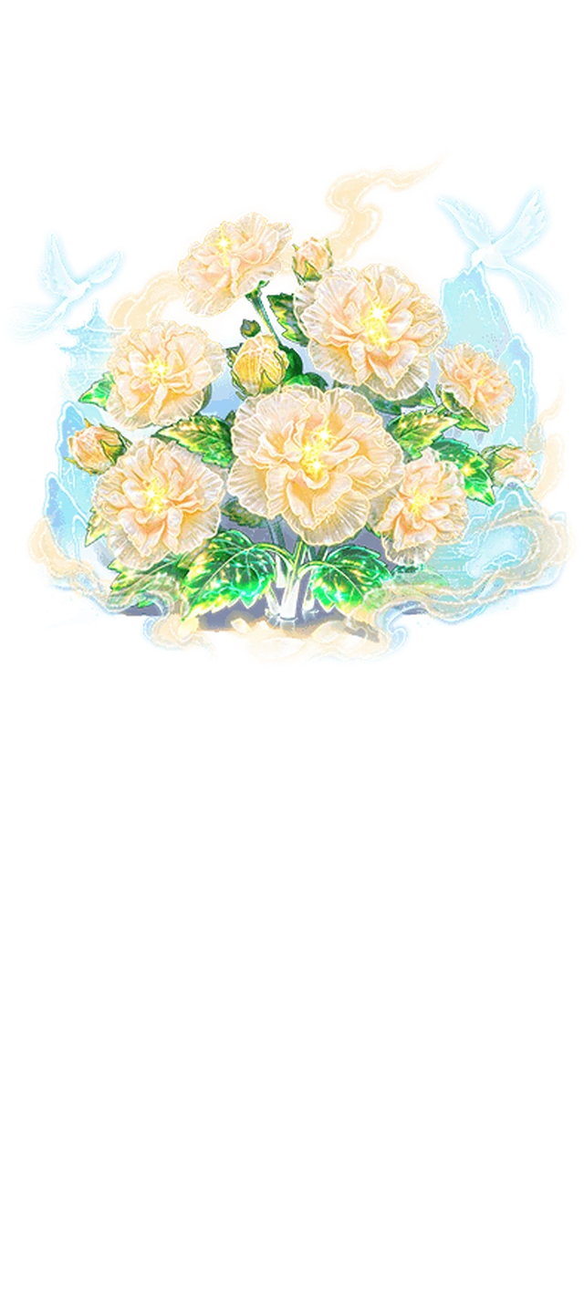 瑤光芙華