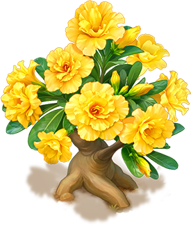 Yellow Desert Rose