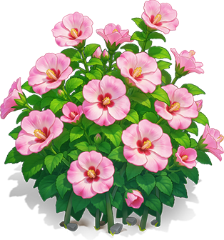 Pink Large Hibiscus
