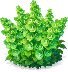 苔綠貝殼花