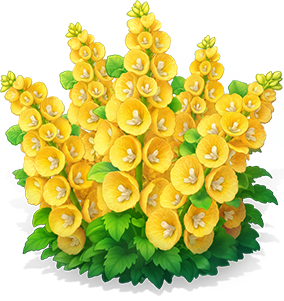 染杏貝殼花