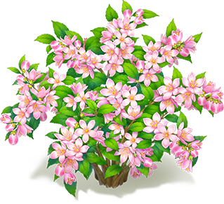 粉雲溲疏花