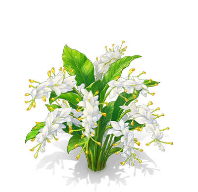 月白舞花薑