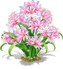粉藍換錦花