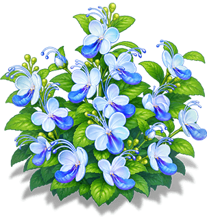 淺汐藍蝴蝶