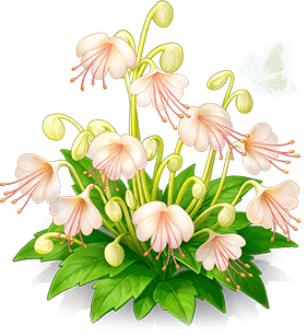 白玉音符花