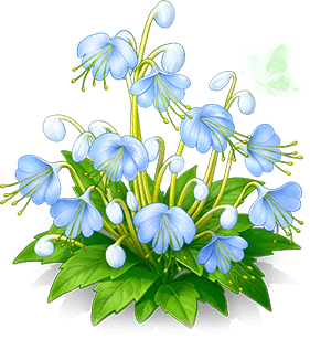 雲藍音符花