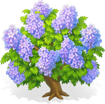 幻紫藍花楹