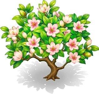 棲香含笑花