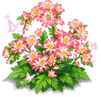 丹影蛾蝶花