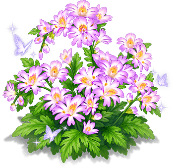 紫瑤蛾蝶花