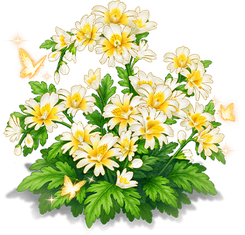 黃澄蛾蝶花