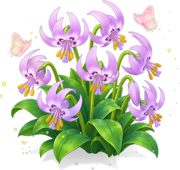 暮紫片栗花