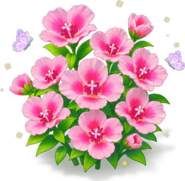玫紅古代稀