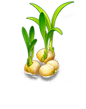 水生香殊蘭