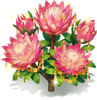 曜緋帝王花