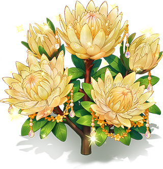 霞暉帝王花