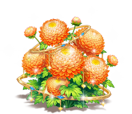 落霞橙牡丹菊