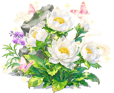 芳蕊瓊蓮